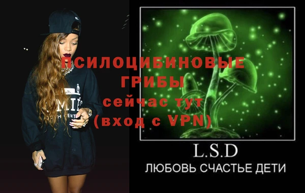 ECSTASY Пересвет