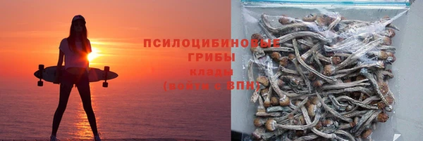 мдпв Переславль-Залесский