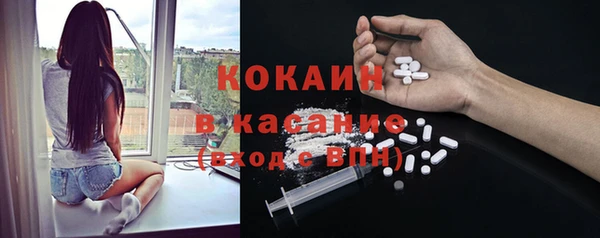 ECSTASY Пересвет