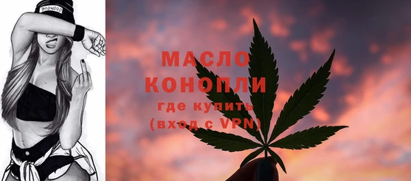 ECSTASY Пересвет
