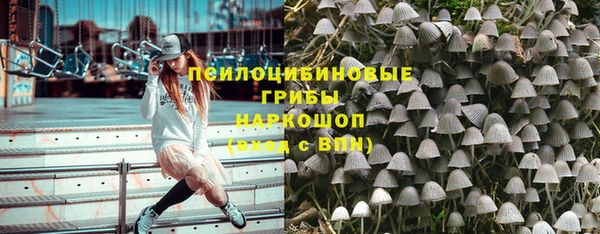 ECSTASY Пересвет