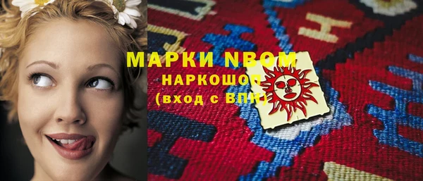 ECSTASY Пересвет