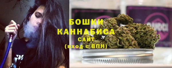 ECSTASY Пересвет