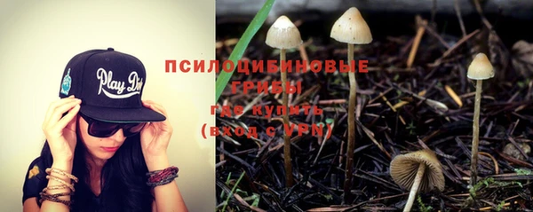 дживик Остров