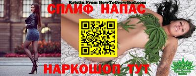 винт Гусь-Хрустальный