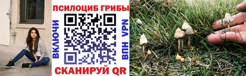 Галлюциногенные грибы мухоморы  Кимры 