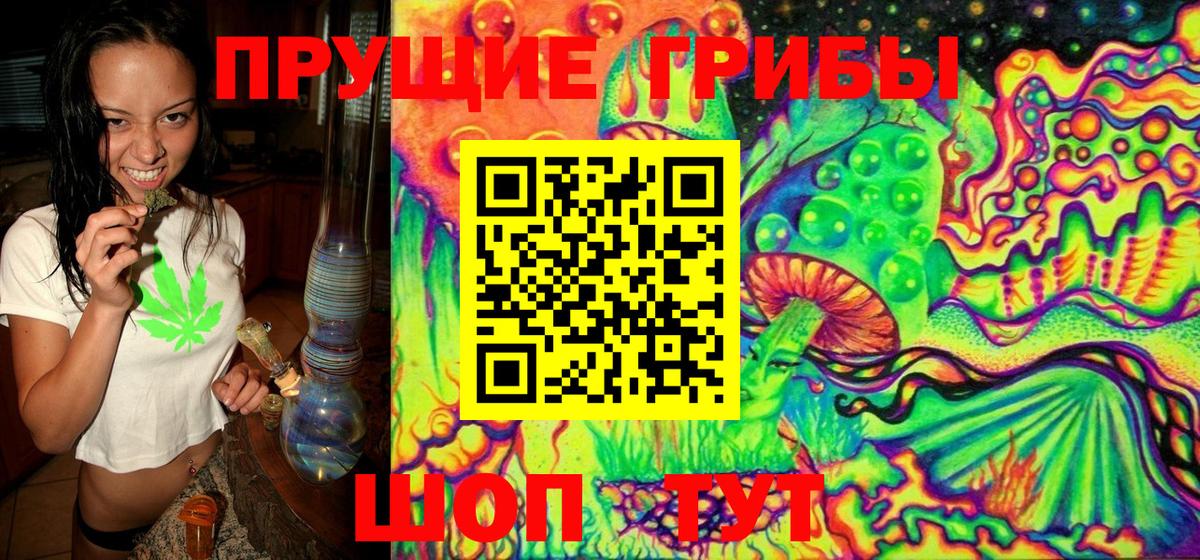 Кимры  Галлюциногенные грибы Magic Shrooms  Вход с VPN 