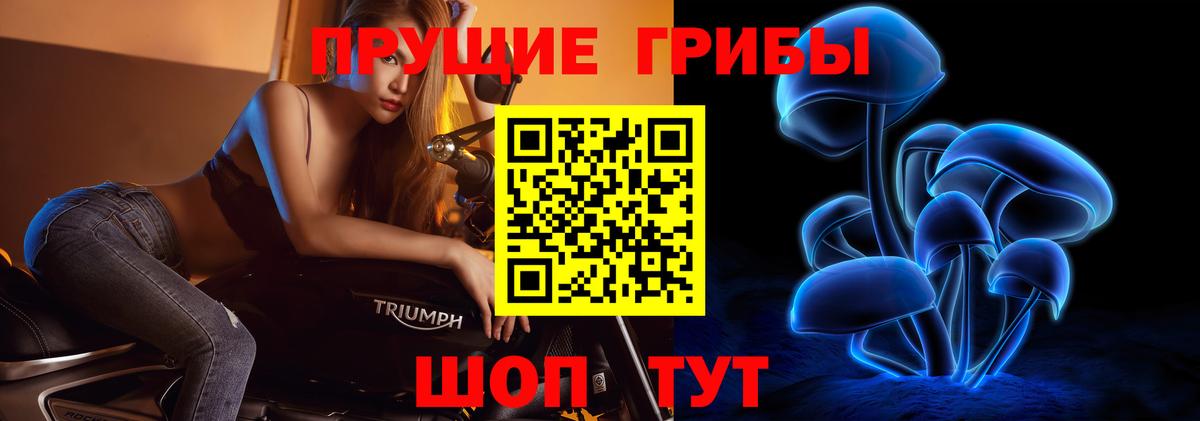 Псилоцибиновые грибы Psilocybe Кимры